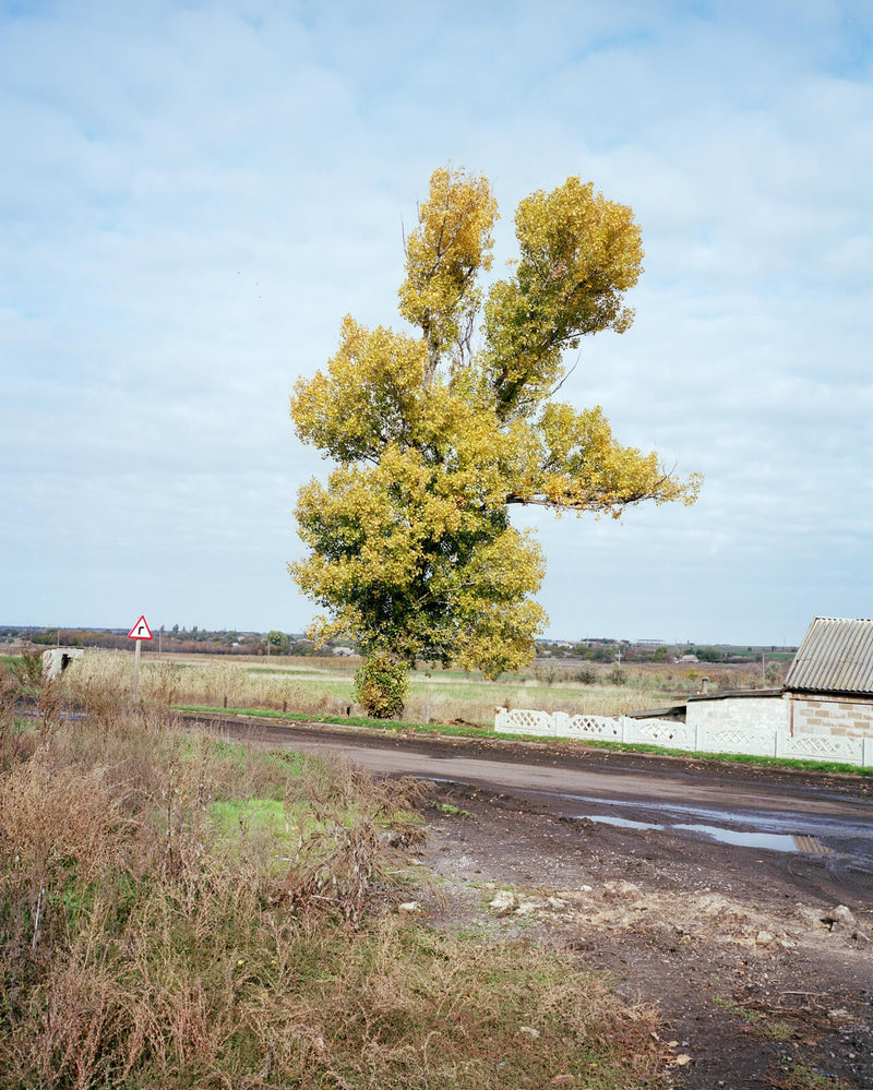 Fotografie