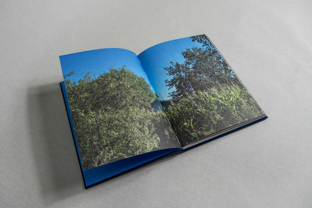 Irina Unruh, Where The Poplars Grow