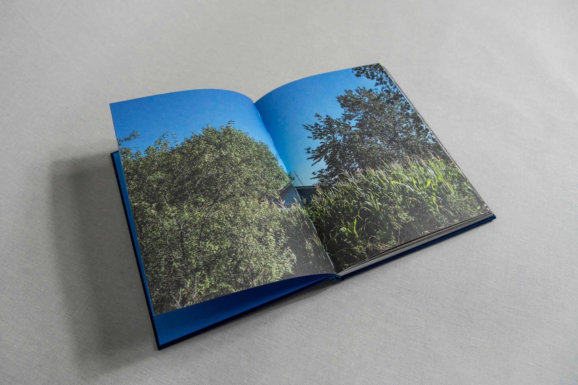 Irina Unruh, Where The Poplars Grow