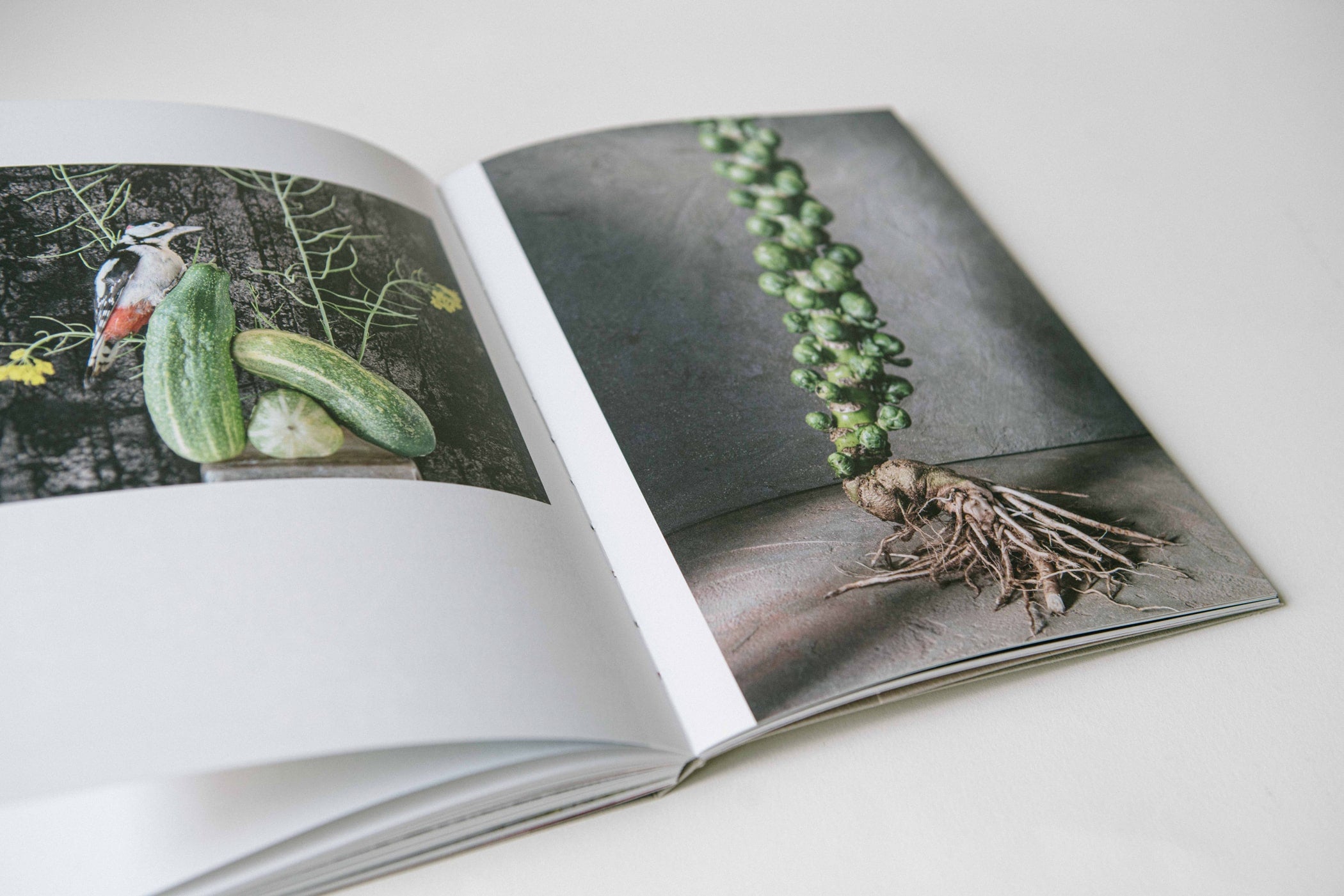 KLB, Brandenburg – die Kunst zu Leben