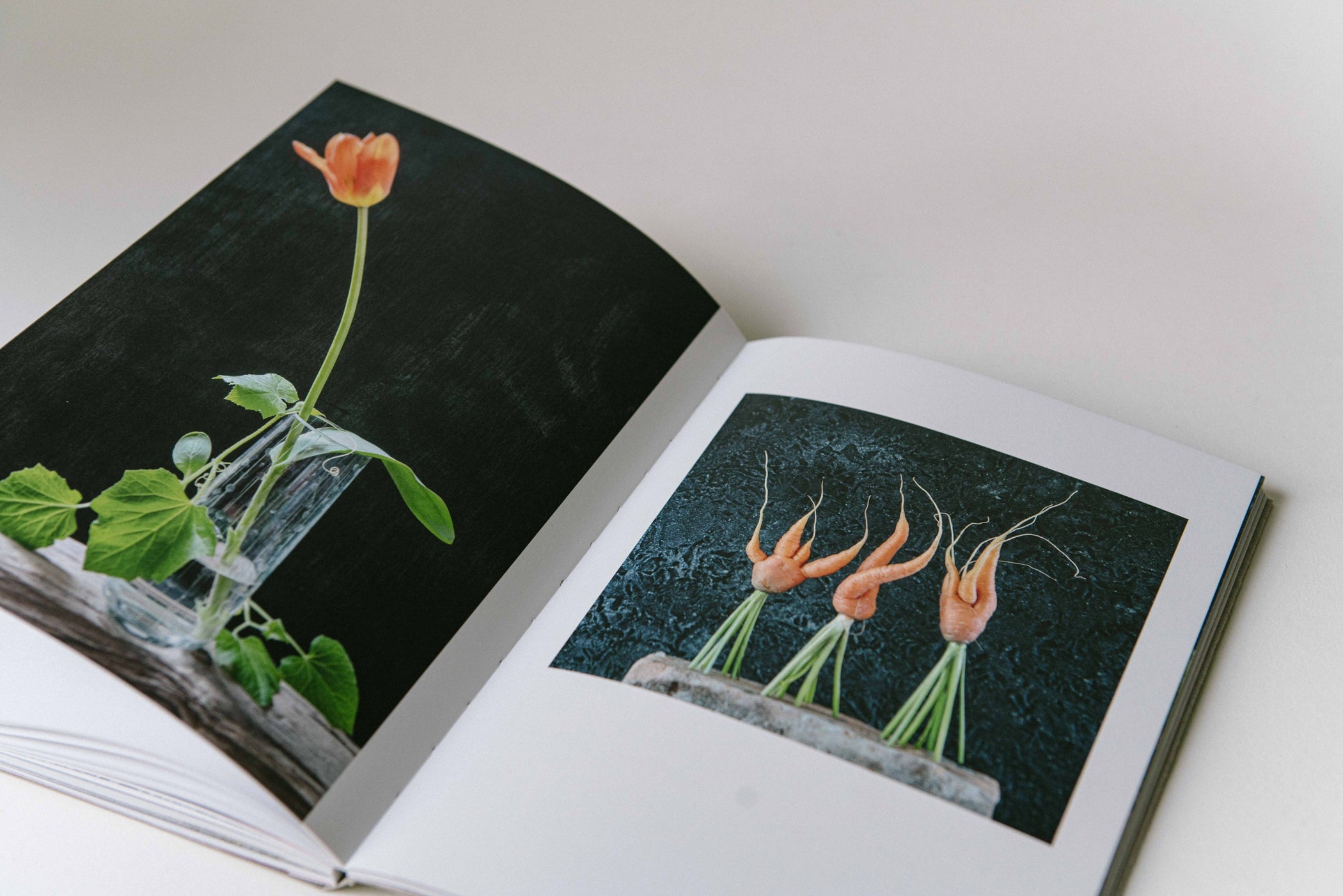 KLB, Brandenburg – die Kunst zu Leben