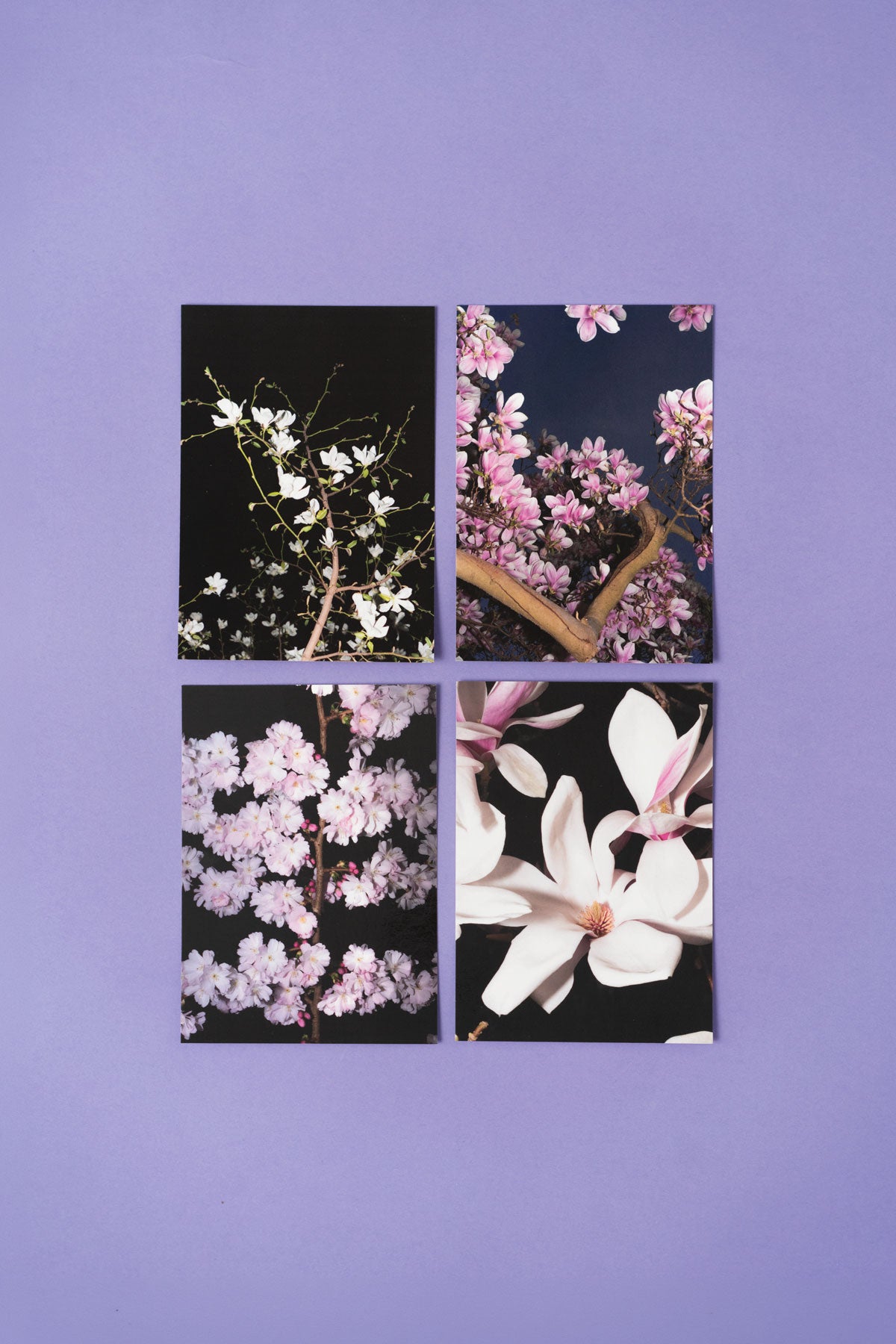 Flora fantastica, postcard set of 4