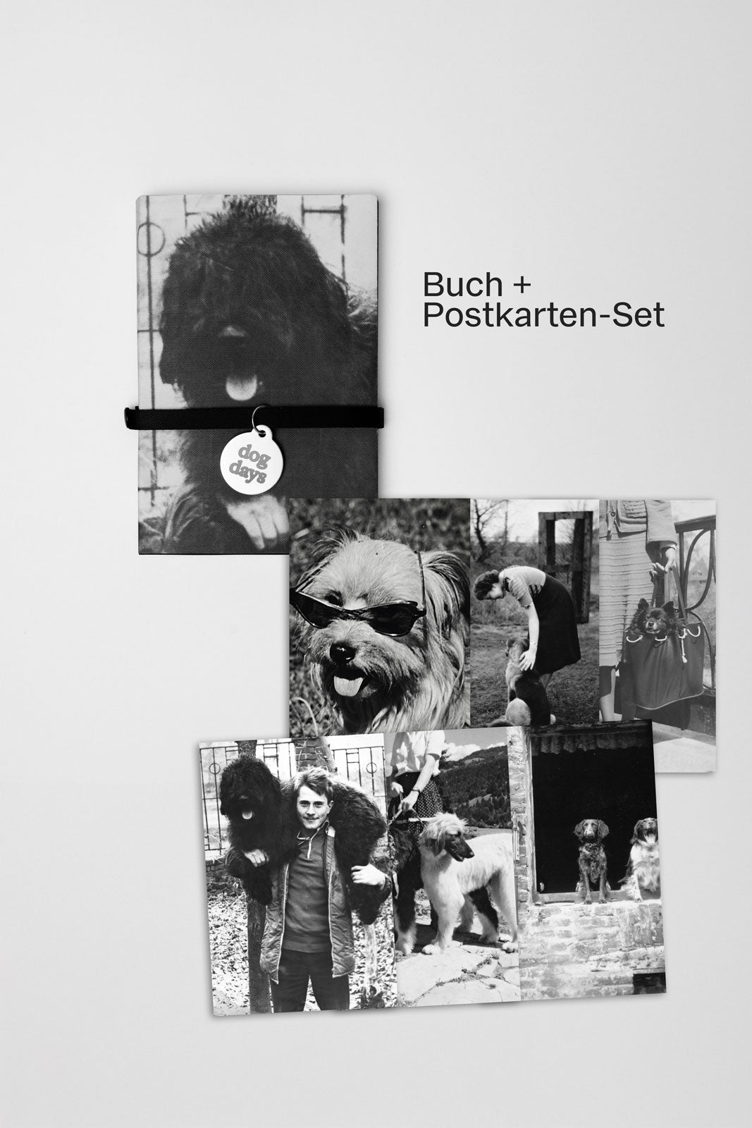 Bundle: Buch dog days + Postkartenset (6-teilig)