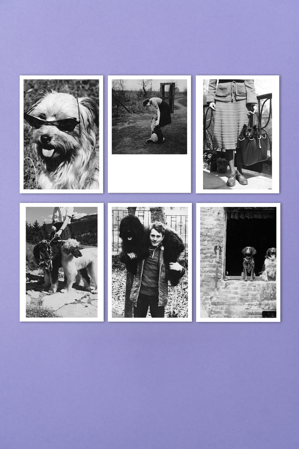 Lost & Found Archiv, Postkartenset 6-teilig, dog days