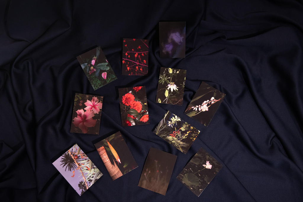 Flora fantastica, Postkarten 4er-Set