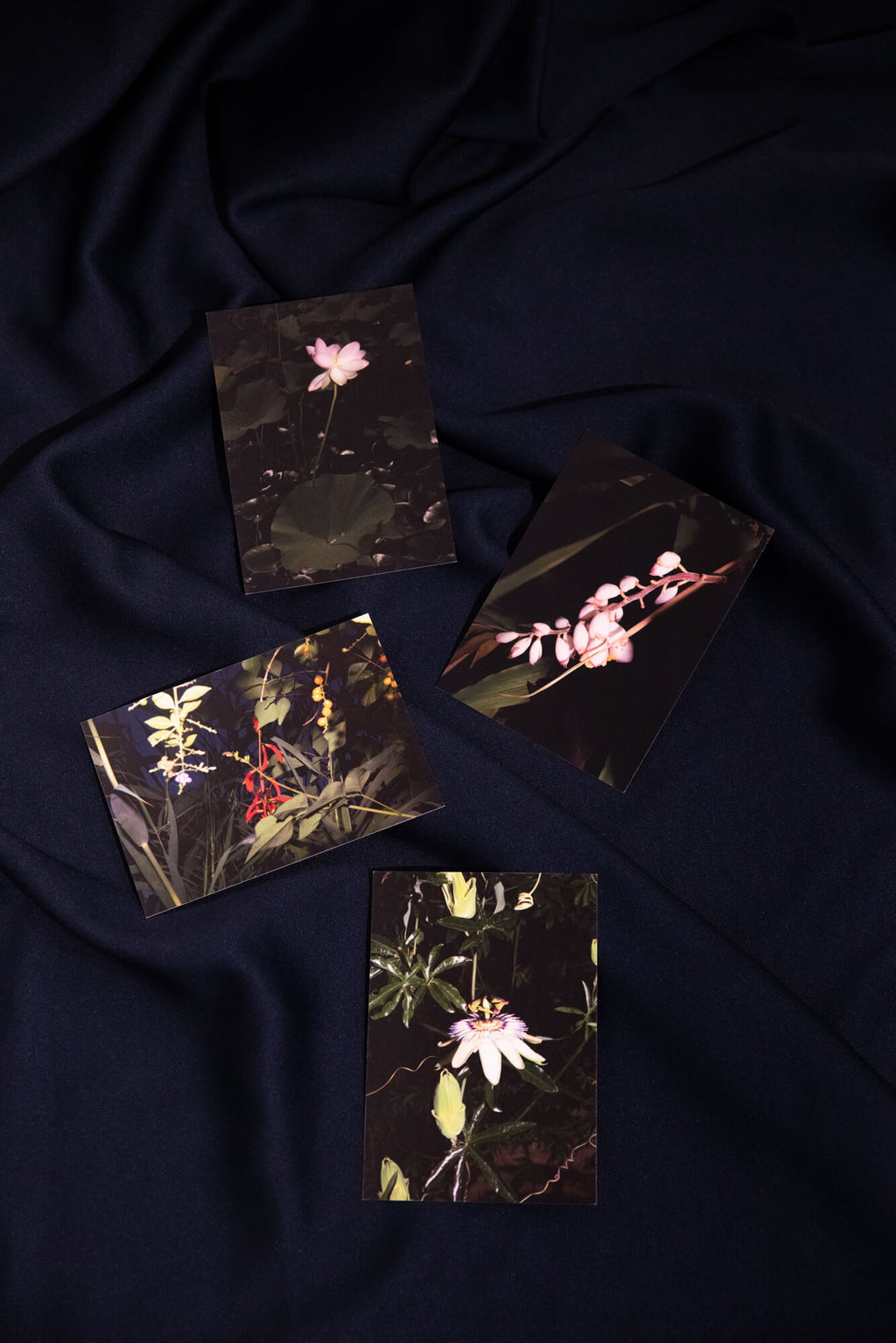 Flora fantastica, Postkarten 4er-Set