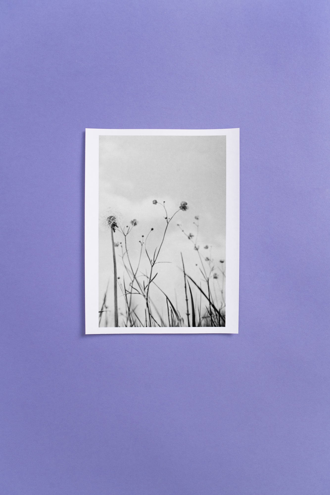 L&F Collection, Untitled ca. 1940