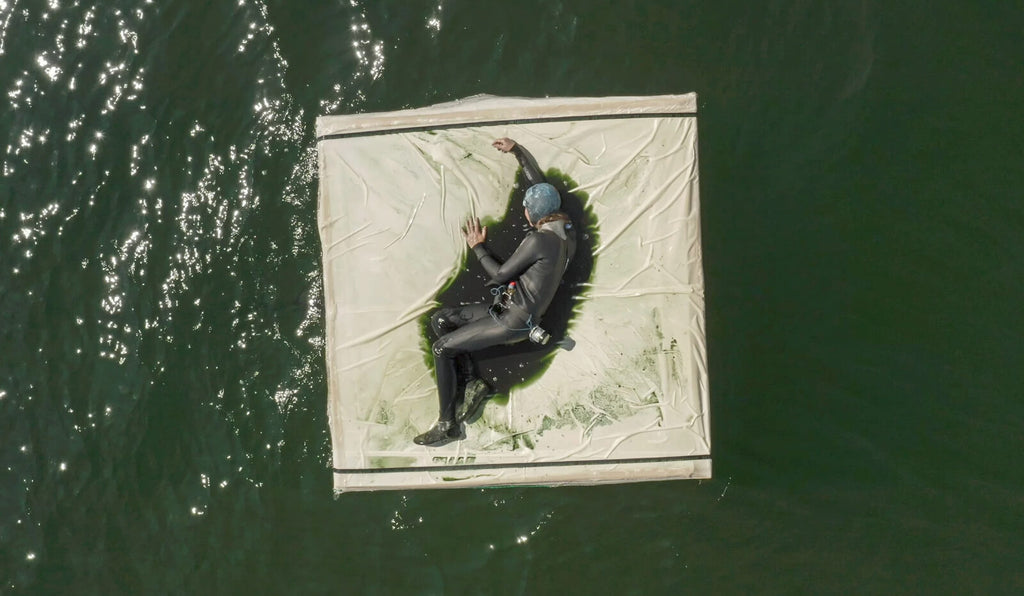 Marie Jeschke, Fluide Grenze