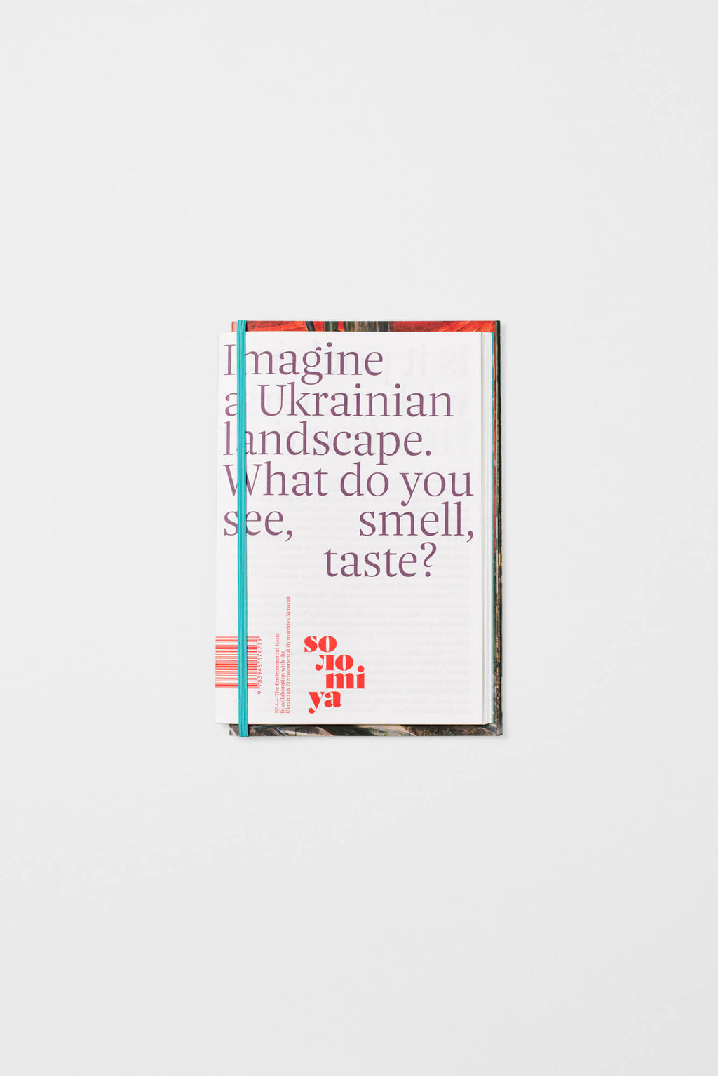 Solomiya No. 4, The Environmental Issue