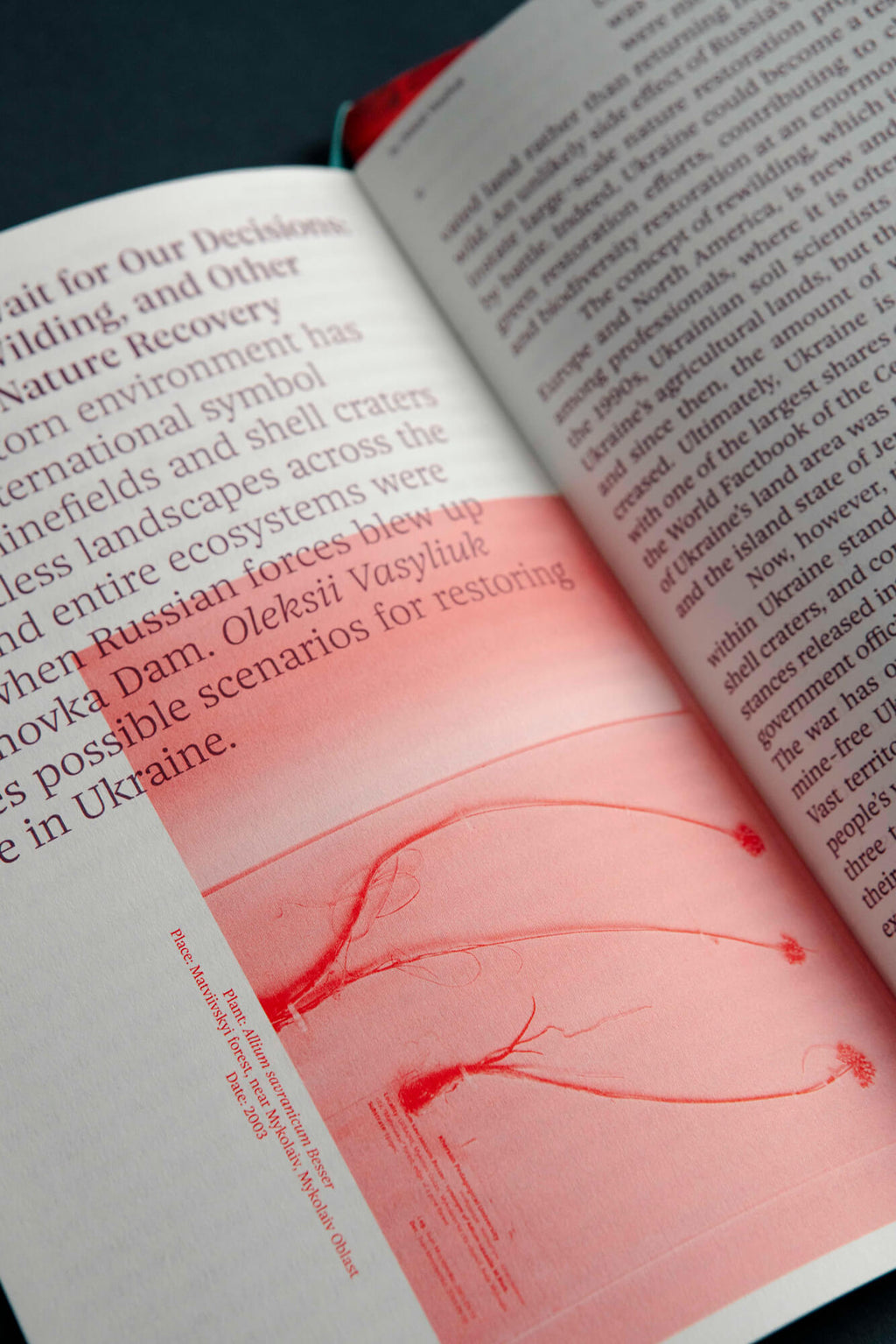 Solomiya No. 4, The Environmental Issue