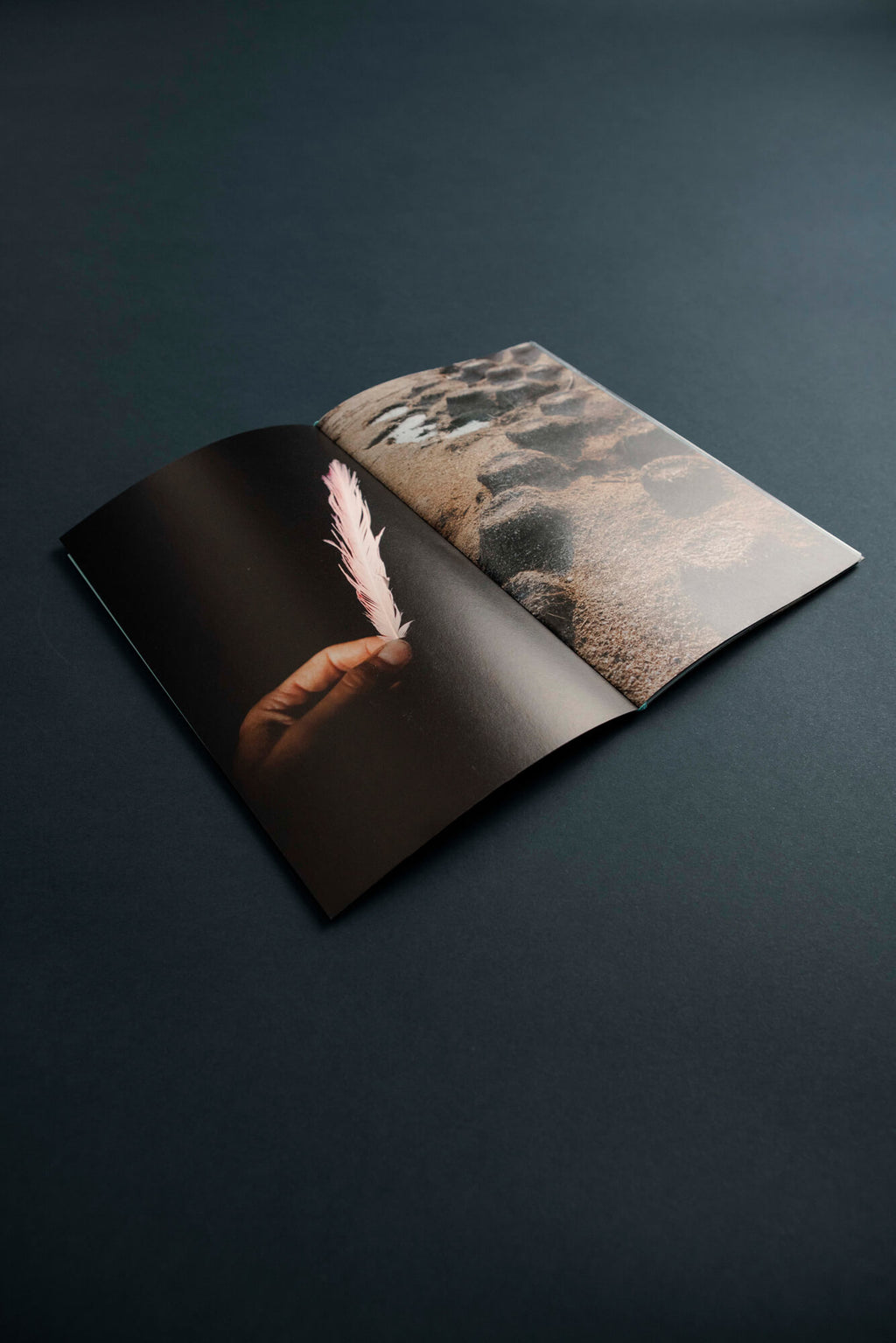 Solomiya No. 4, The Environmental Issue