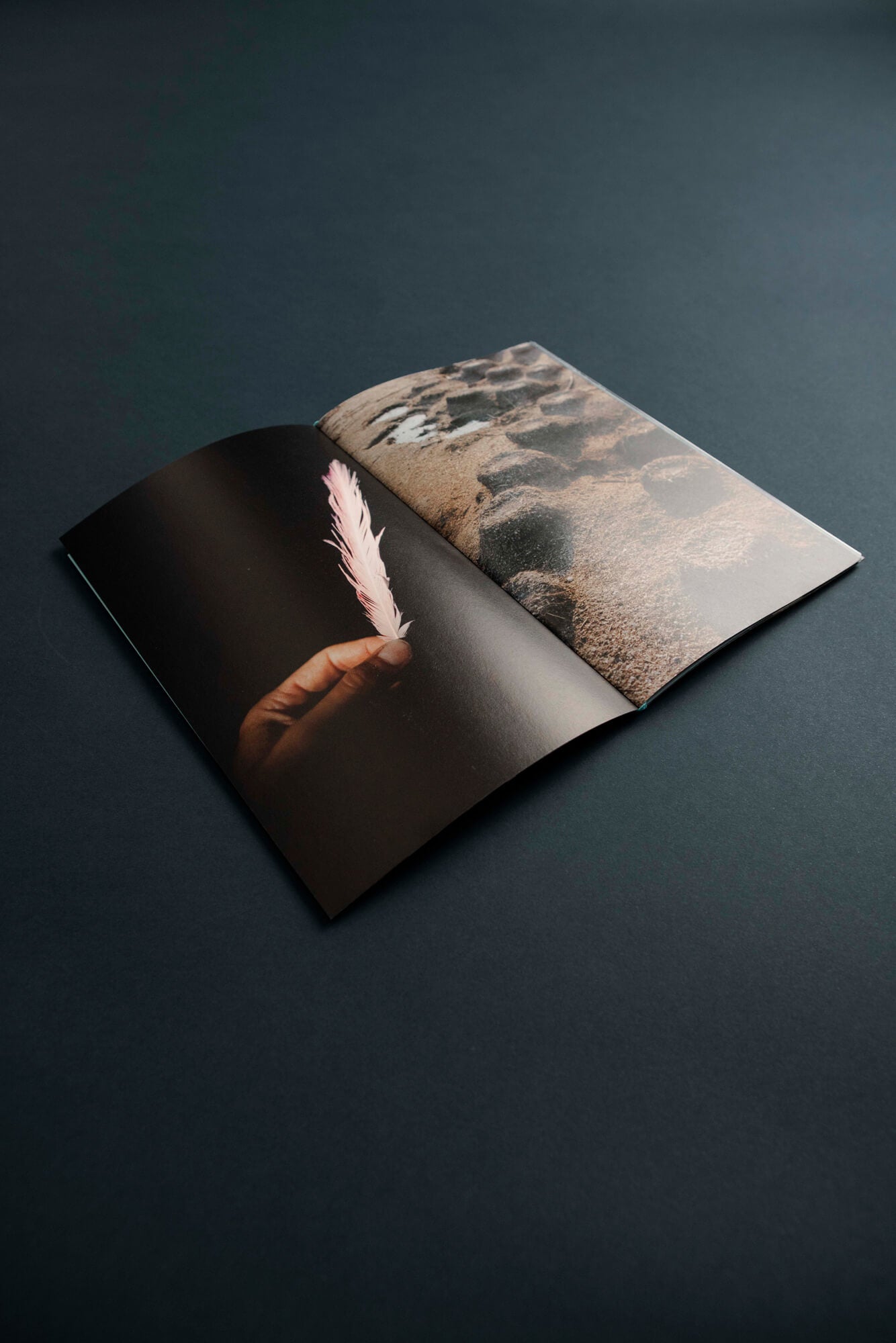 Solomiya No. 4, The Environmental Issue