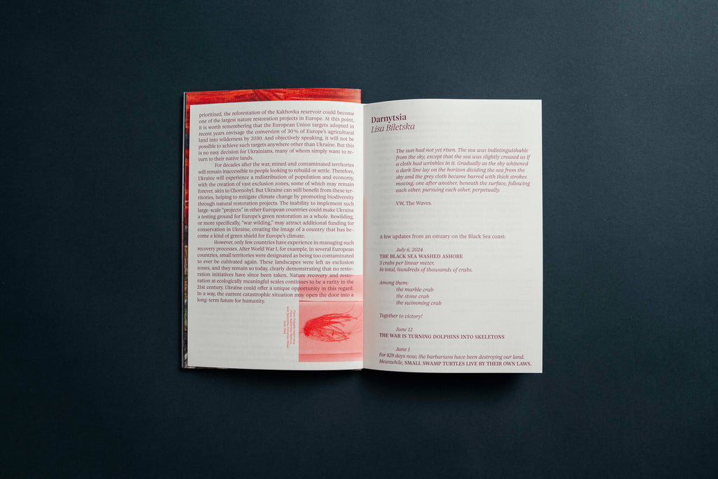 Solomiya No. 4, The Environmental Issue