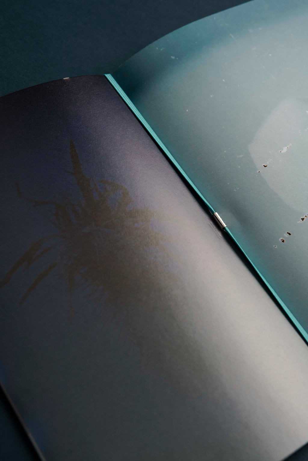 Solomiya No. 4, The Environmental Issue