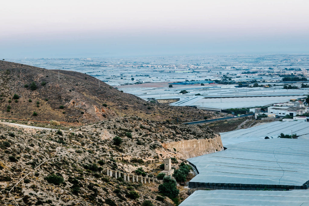 Ana Rodriguez Heinlein, Tierra sin Agua