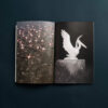 Solomiya no. 4, The Environmental Issue - Image 6