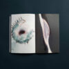 Solomiya no. 4, The Environmental Issue - Image 7